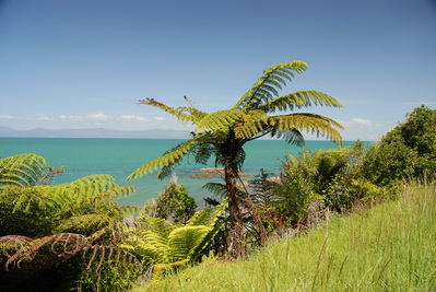 Im Waharau Regional Park.