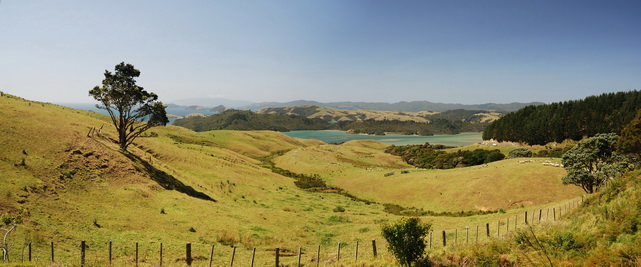 Manaia Road Saddle and Lookout.