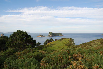 Motueka Island