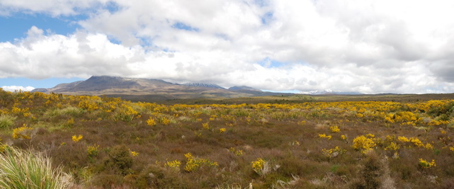 Bye bye Tongariro NP